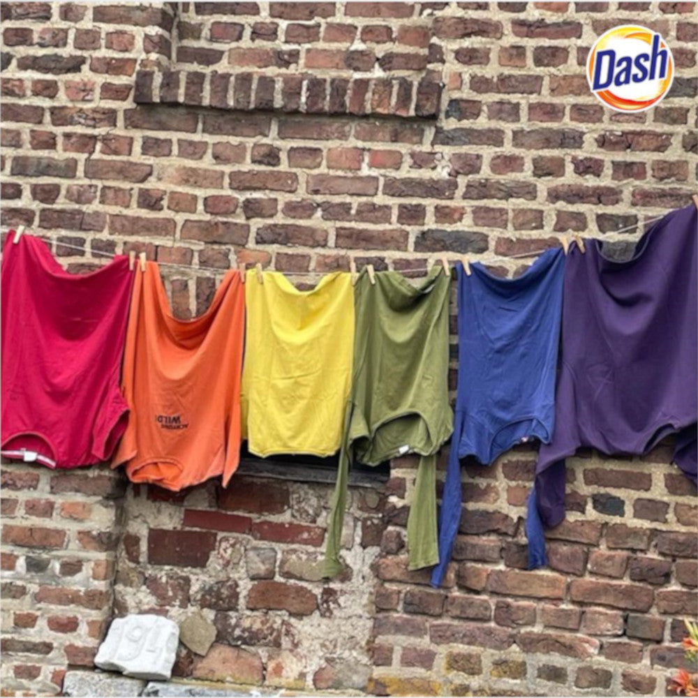 DASH Color Frische washing powder 100 wash 6 kg